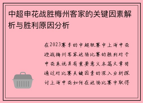 中超申花战胜梅州客家的关键因素解析与胜利原因分析