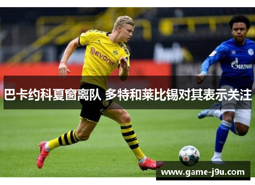 巴卡约科夏窗离队 多特和莱比锡对其表示关注
